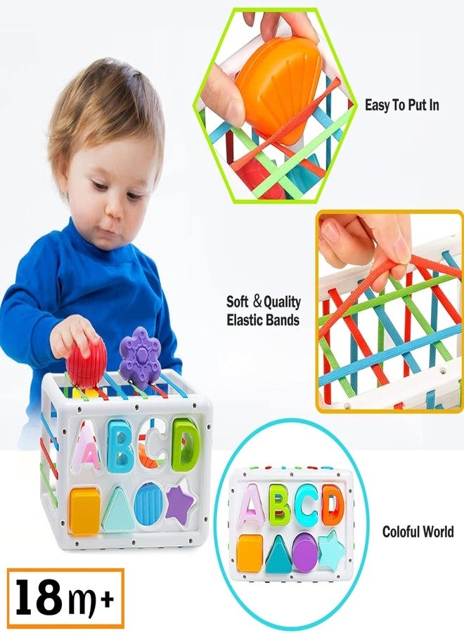 Kriva Export Baby Shape Sorting Toy, Montessori Sensory Toys with Blocks Colorful Cube and Alphabets, Shape Sorting Toy with Elastic Bands Fine Motor Skill Toy, Preschool Learning Toys - Image 4